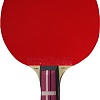 Ракетка для настольного тенниса Gambler Fire Dragon Volt M GRC-3 (коническая)