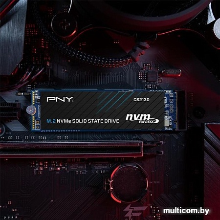 SSD PNY CS2130 1TB M280CS2130-1TB-RB