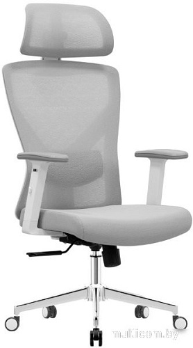 Офисное кресло Evolution ErgoLine 2 (серый)