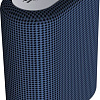 Беспроводная колонка Canyon CNE-CBTSP4BL