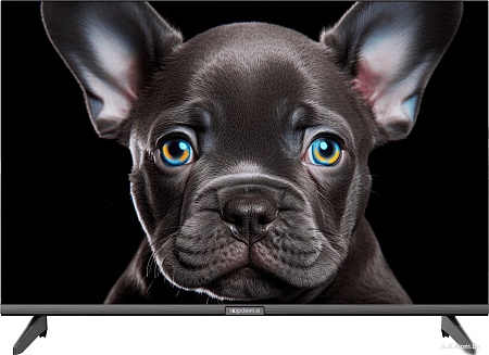 Телевизор Topdevice 24" OS SALUTE TV (черный)