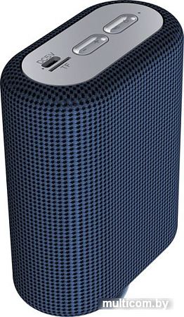 Беспроводная колонка Canyon CNE-CBTSP4BL