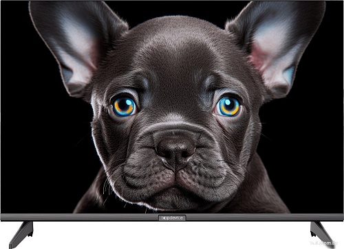 Телевизор Topdevice 24&quot; OS SALUTE TV (черный)