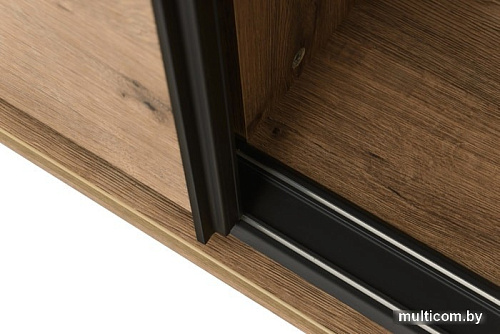 Шкаф-купе Рэйгрупп Bromo VVH 03 РГ-11.03 B 140 VVH 140x220.5 (дуб велингтон/черный)