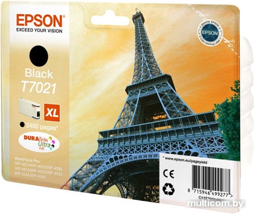 Картридж Epson C13T70214010