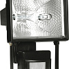 Уличный прожектор Neoline ИО 500Д IP44