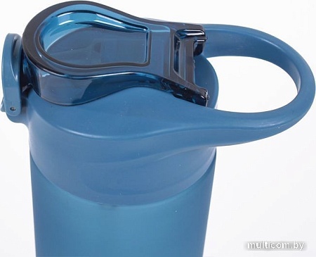 Бутылка для воды Darvish DV-H-1605-1 750мл (синий)