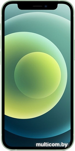 Смартфон Apple iPhone 12 mini 256GB (зеленый)