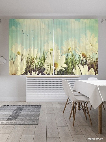 JoyArty Ромашки под небом p_2394 (145x180)