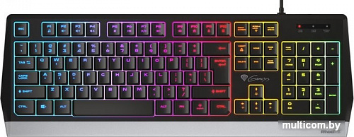 Клавиатура Genesis Rhod 300 RGB