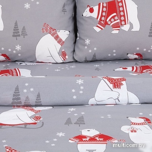 Постельное белье Этель Зимние игры 4482241