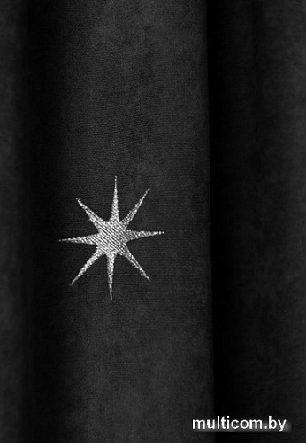 Комплект штор Pasionaria Бэлли 290x230 (2 шт, черный)