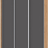 Шкаф-купе Modern Роланд Р661 (золотой дуб/графит)