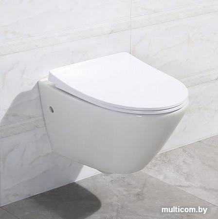 Унитаз BelBagno Alpha BB300CHR