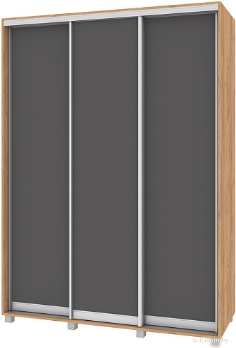 Шкаф-купе Modern Роланд Р661 (золотой дуб/графит)