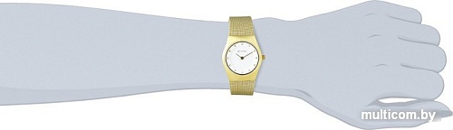 Наручные часы Bering Classic (11927-334)