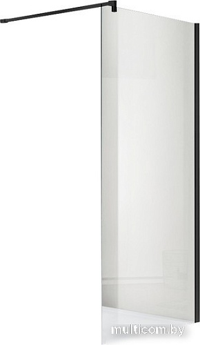 Душевая стенка Aquatek 140x200 AQ WIW 14020BL (черный/прозрачное стекло)