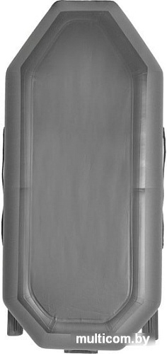 Моторно-гребная лодка Лоцман С-260 (серый)