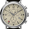 Наручные часы Timex TW2V43800
