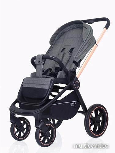 Универсальная коляска Rant MOWbaby Zoom PU (2 в 1, gold grey)