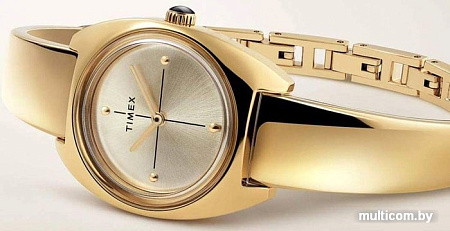 Наручные часы Timex TW2R70000