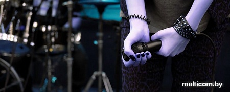 Микрофон Lewitt MTP 350 CMs