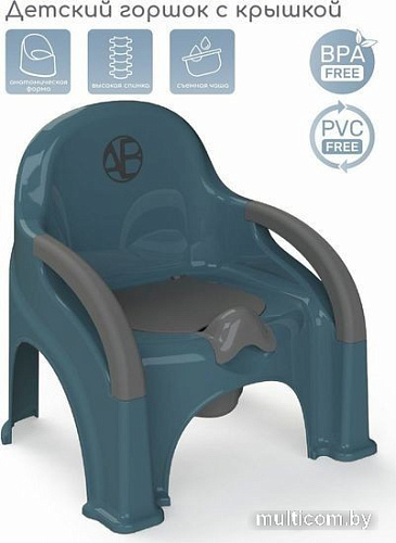 Детский горшок Amarobaby Baby chair AB221105BCh/18 (бирюзовый)