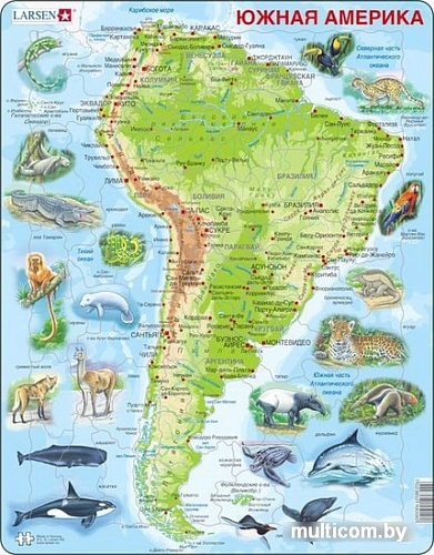 Мозаика/пазл Larsen Животные Южной Америки A25-RU