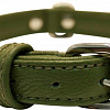 Ошейник Angel Pet Alpine 41034/AG (зеленый)