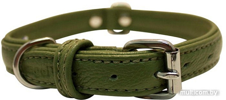 Ошейник Angel Pet Alpine 41034/AG (зеленый)