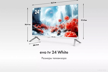Телевизор Evo TV 24 White TD0051748RU