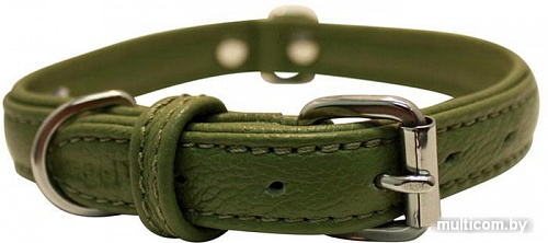 Ошейник Angel Pet Alpine 41034/AG (зеленый)