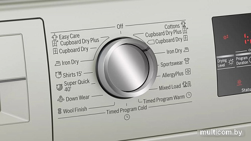 Сушильная машина Bosch Serie 6 WTG8641XME