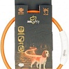 Ошейник Duvo Plus 1270006/DV (оранжевый)