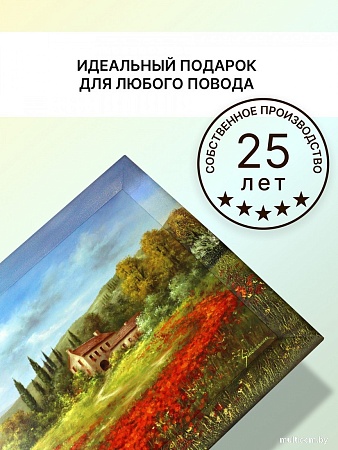 Картина Декарт 8Л0382