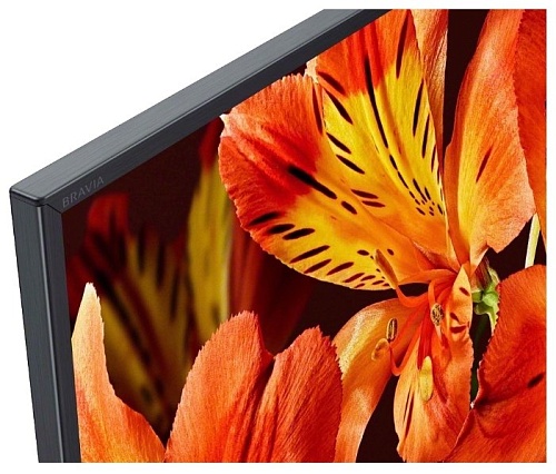 Телевизор Sony KD-65XF8599