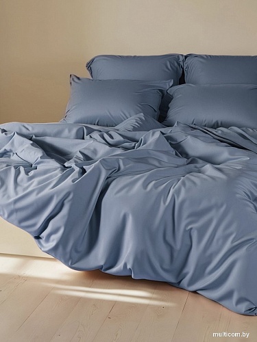 Постельное белье Sima-Land 10518576 (синий)