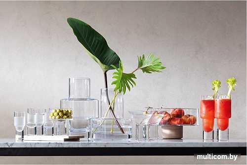 Набор стопок (шотов) LSA International Vodka G1635-04-301