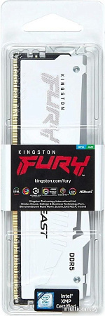 Kingston FURY Beast RGB 16ГБ DDR5 6000 МГц KF560C30BWEA-16