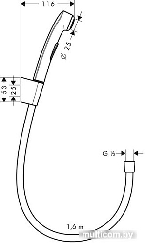 Душевой гарнитур Hansgrohe Гигиенический душ [32128000]