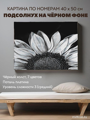 Картина по номерам ILikeGift Подсолнух на черном фоне BQH0003