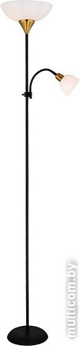 Торшер Arte Lamp Duetto A9569PN-2BK