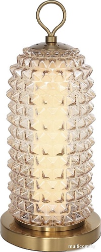 Настольная лампа ST Luce SL6144.304.01