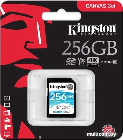 Карта памяти Kingston Canvas Go! SDG/256GB SDXC 256GB