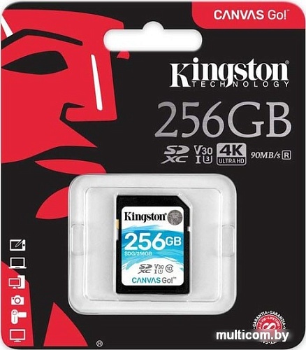 Карта памяти Kingston Canvas Go! SDG/256GB SDXC 256GB