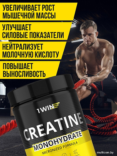 Моногидрат креатина 1WIN Моногидрат (200г, тропический микс)