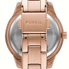 Наручные часы Fossil Stella ES5136