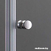 Душевая дверь Cezares ELENA-W-BS-13-60+50/50-C-Cr