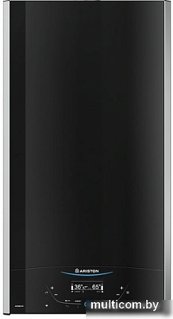 Отопительный котел Ariston Alteas XC 30 FF 3301671