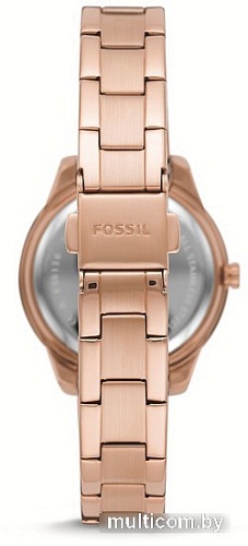 Наручные часы Fossil Stella ES5136